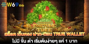 สล็อต เว็บตรง ฝาก-ถอน true wallet ไม่มี ขั้น ต่ํา เริ่มต้นง่ายๆ แค่ 1 บาท